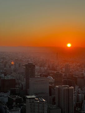 屋外展望台スカイプロムナードに投稿された画像（2024/12/31）