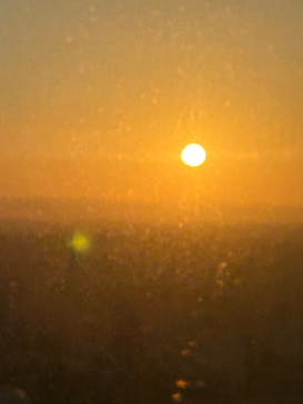 屋外展望台スカイプロムナードに投稿された画像（2025/1/1）