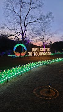 つま恋イルミネーションに投稿された画像（2025/1/1）