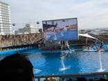 名古屋港水族館に投稿された画像（2025/1/1）