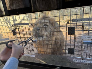 群馬サファリパークに投稿された画像（2025/1/1）