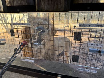 群馬サファリパークに投稿された画像（2025/1/1）