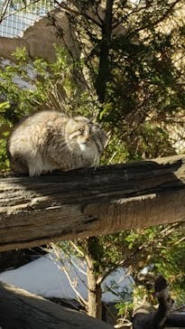 那須どうぶつ王国に投稿された画像（2025/1/1）