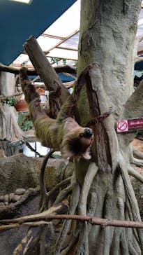 那須どうぶつ王国に投稿された画像（2025/1/1）