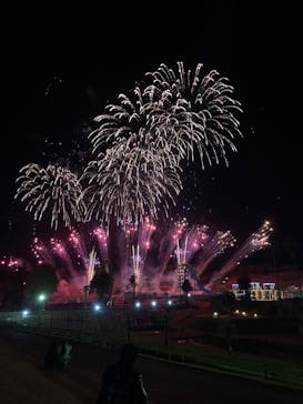 グリーンランドに投稿された画像（2025/1/1）