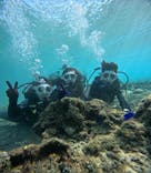 沖縄マリンサービス碧に投稿された画像（2025/1/1）