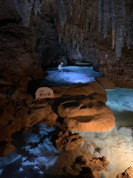 おきなわワールドに投稿された画像（2025/1/1）