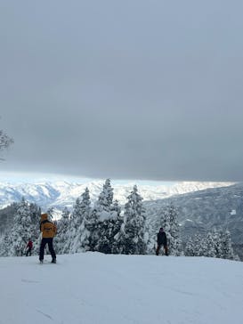 ホワイトピアたかすに投稿された画像（2025/1/1）