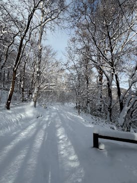 n.s rideに投稿された画像（2025/1/1）
