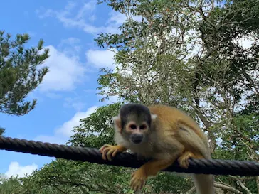 石垣やいま村に投稿された画像（2025/1/1）