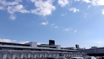 鈴鹿サーキットに投稿された画像（2025/1/1）