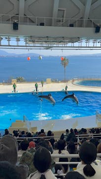 マリンワールド海の中道に投稿された画像（2025/1/1）