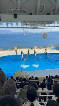 マリンワールド海の中道に投稿された画像（2025/1/1）