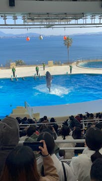 マリンワールド海の中道に投稿された画像（2025/1/1）