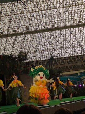 スパリゾートハワイアンズに投稿された画像（2025/1/1）