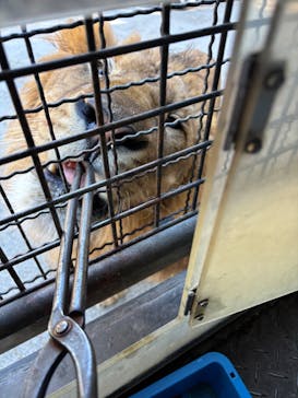 群馬サファリパークに投稿された画像（2025/1/1）