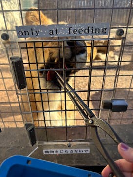 群馬サファリパークに投稿された画像（2025/1/1）