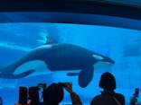名古屋港水族館に投稿された画像（2025/1/1）