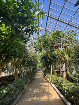 熱川バナナワニ園に投稿された画像（2025/1/1）