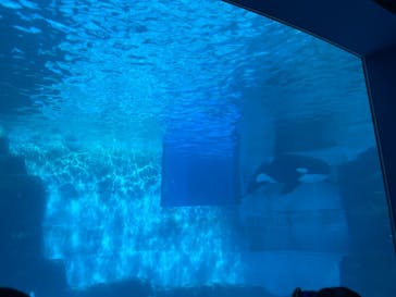 名古屋港水族館に投稿された画像（2025/1/1）