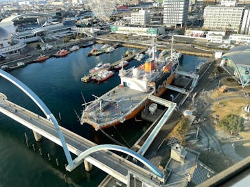 名古屋港水族館に投稿された画像（2025/1/1）