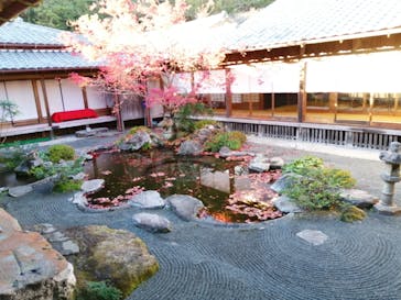 仙巌園に投稿された画像（2025/1/1）