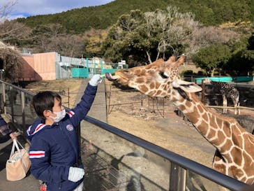 伊豆アニマルキングダムに投稿された画像（2025/1/1）