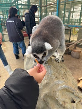 東北サファリパークに投稿された画像（2025/1/1）