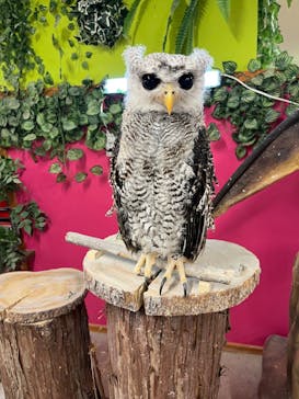 アニタッチ 東京ドームシティに投稿された画像（2025/1/1）