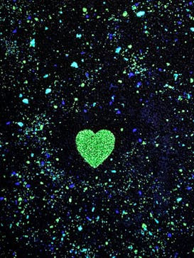 東京タワーに投稿された画像（2025/1/1）