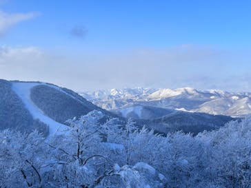 星野リゾート　ネコマ マウンテンに投稿された画像（2025/1/1）
