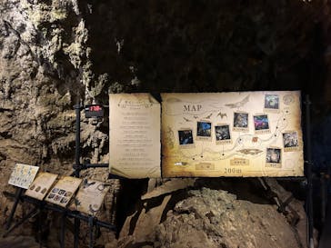 美らヤシパークオキナワ・東南植物楽園に投稿された画像（2025/1/1）