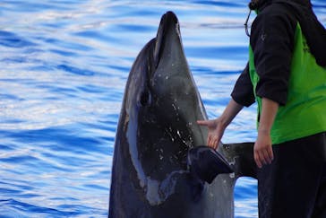 名古屋港水族館に投稿された画像（2025/1/1）