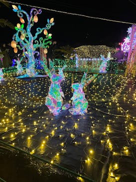 伊豆高原グランイルミに投稿された画像（2025/1/1）