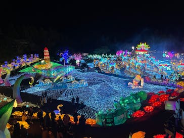 伊豆高原グランイルミに投稿された画像（2025/1/1）