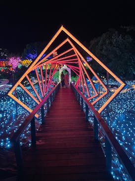 伊豆高原グランイルミに投稿された画像（2025/1/1）