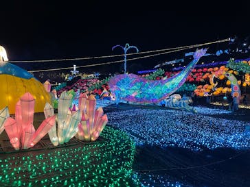 伊豆高原グランイルミに投稿された画像（2025/1/1）