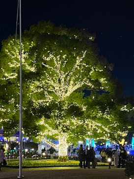 安城産業文化公園デンパークに投稿された画像（2025/1/1）