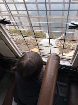 那須サファリパークに投稿された画像（2025/1/1）