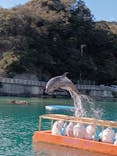 下田海中水族館に投稿された画像（2025/1/2）