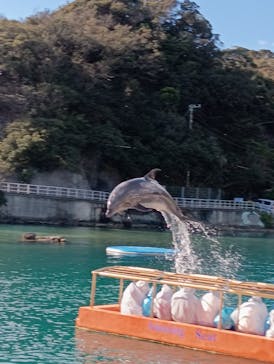 下田海中水族館に投稿された画像（2025/1/1）