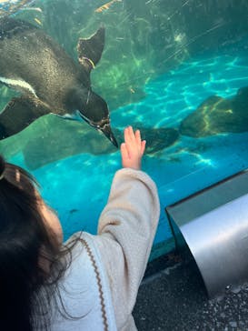東武動物公園に投稿された画像（2025/1/1）