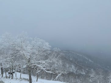 星野リゾート　トマムスキー場に投稿された画像（2025/1/1）