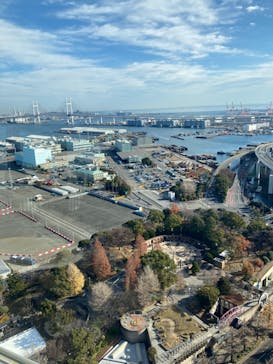 横浜マリンタワーに投稿された画像（2025/1/1）