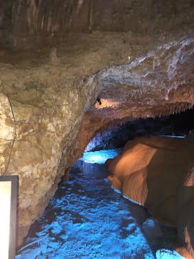 おきなわワールドに投稿された画像（2025/1/1）