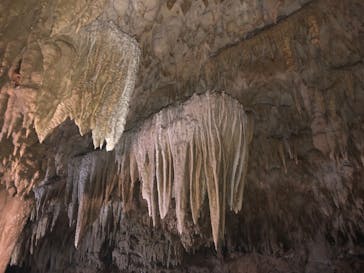 おきなわワールドに投稿された画像（2025/1/1）