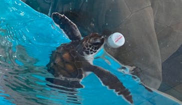 名古屋港水族館に投稿された画像（2025/1/1）