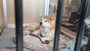 阿仁スキー場に投稿された画像（2025/1/1）