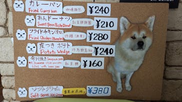 阿仁スキー場に投稿された画像（2025/1/1）