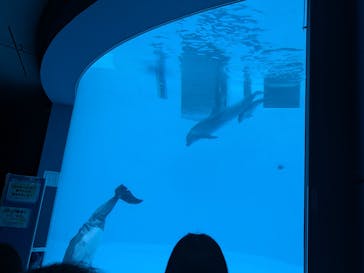 名古屋港水族館に投稿された画像（2025/1/1）